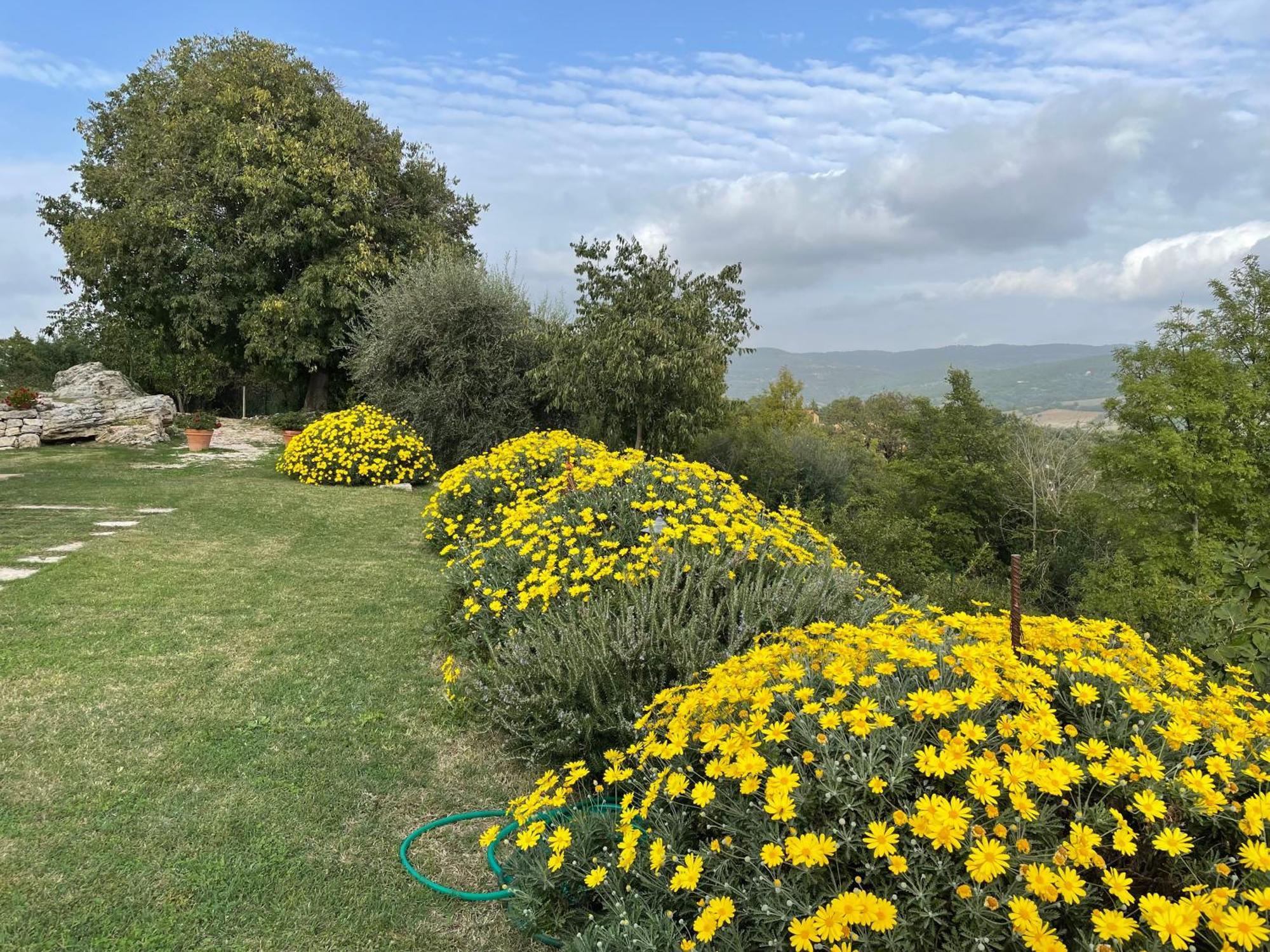 Il Nido Del Falco Nelle Antiche Mura Vila Saturnia Exterior foto