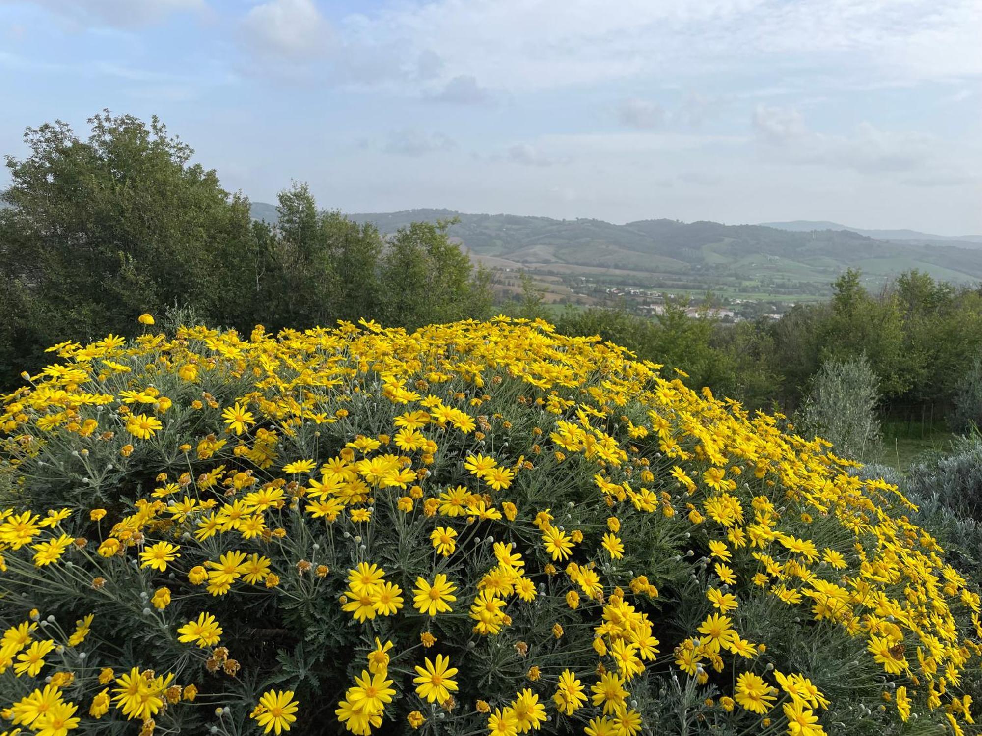 Il Nido Del Falco Nelle Antiche Mura Vila Saturnia Exterior foto